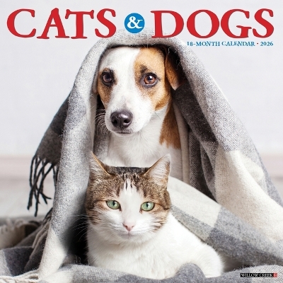 Cats & Dogs 2026 12 X 12 Wall Calendar -  Willow Creek Press