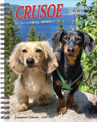 Crusoe the Celebrity Dachshund 2026 6.5 X 8.5 Engagement Calendar - 