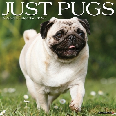 Pugs 2026 12 X 12 Wall Calendar -  Willow Creek Press