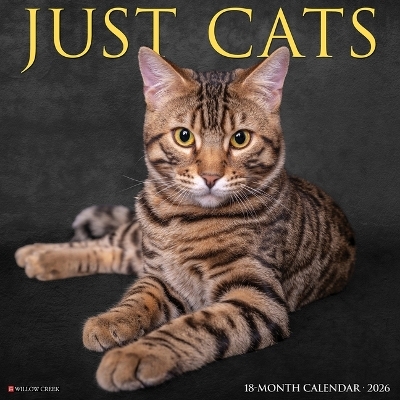 Cats 2026 12 X 12 Wall Calendar -  Willow Creek Press