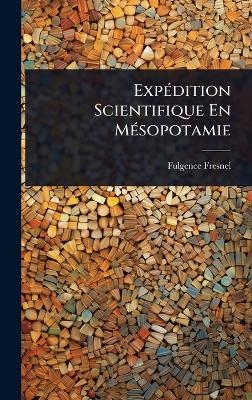 Exp&Atilde;(c)dition Scientifique En M&Atilde;(c)sopotamie - Fulgence Fresnel
