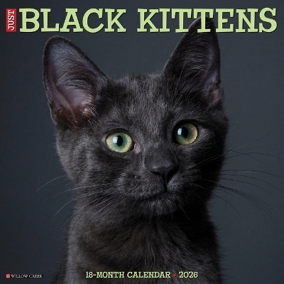 Black Kittens 2026 12 X 12 Wall Calendar -  Willow Creek Press