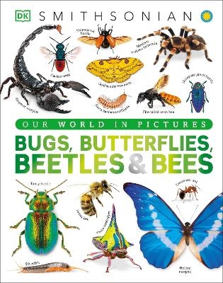 Our World in Pictures Bugs, Butterflies, Beetles and Bees -  Dk