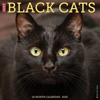 Black Cats 2026 12 X 12 Wall Calendar
