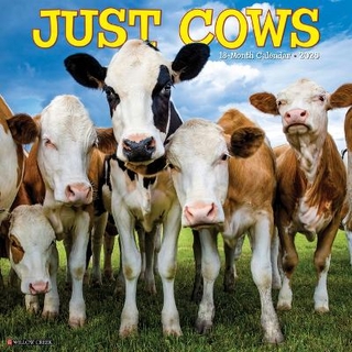 Cows 2026 12 X 12 Wall Calendar