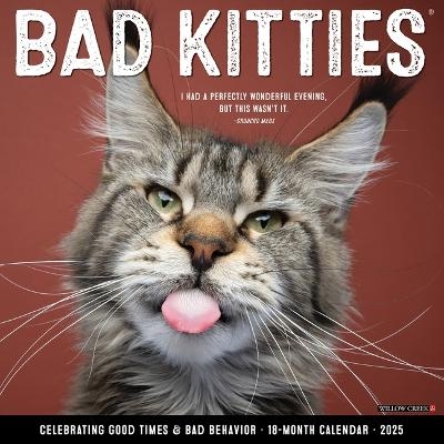 Bad Kitties 2026 12 X 12 Wall Calendar -  Willow Creek Press