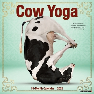 Cow Yoga 2026 12 X 12 Wall Calendar