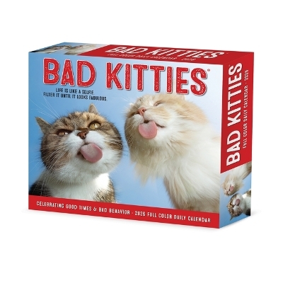 Bad Kitties 2026 5.4 X 6.2 Box Calendar -  Willow Creek Press
