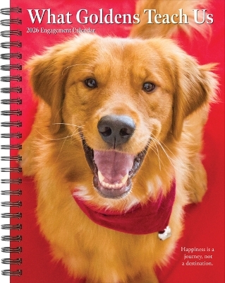 What Goldens Teach Us 2026 6.5 X 8.5 Engagement Calendar