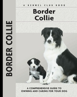 Border Collie - Stephen Sussam