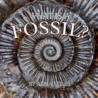 What is a Fossil?