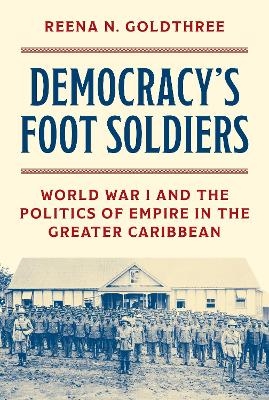 Democracy&rsquo;s Foot Soldiers - Reena N. Goldthree