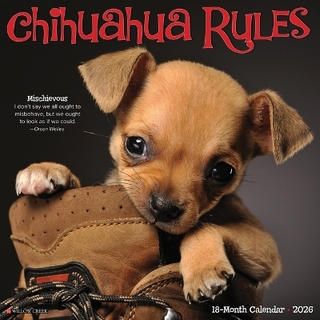 Chihuahua Rules 2026 12 X 12 Wall Calendar