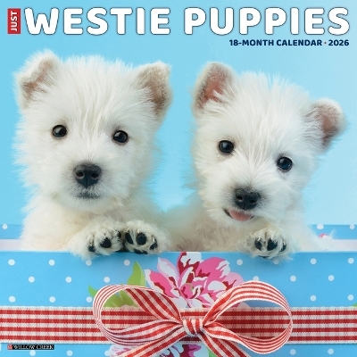 Westie Puppies 2026 12 X 12 Wall Calendar -  Willow Creek Press