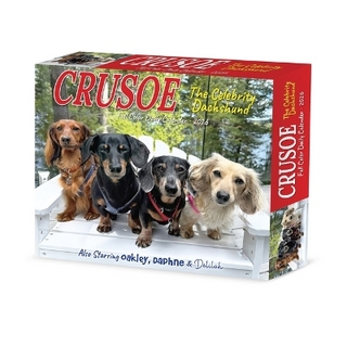 Crusoe the Celebrity Dachshund 2026 5.4 X 6.2 Box Calendar