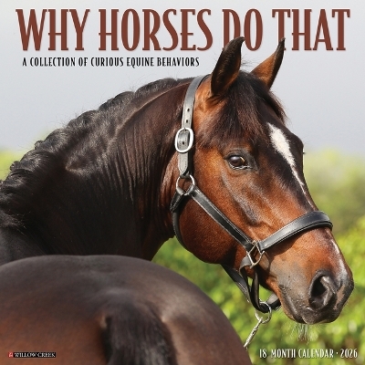 Why Horses Do That 2026 12 X 12 Wall Calendar -  Willow Creek Press