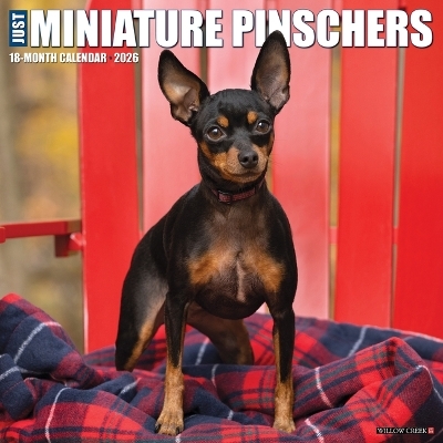 Miniature Pinschers 2026 12 X 12 Wall Calendar -  Willow Creek Press