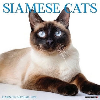 Siamese Cats 2026 12 X 12 Wall Calendar