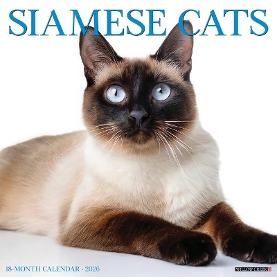Siamese Cats 2026 12 X 12 Wall Calendar -  Willow Creek Press