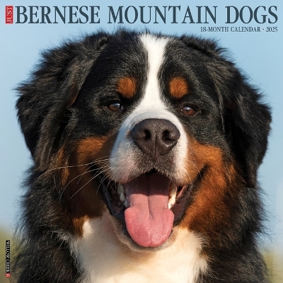 Bernese Mountain Dogs 2026 12 X 12 Wall Calendar -  Willow Creek Press