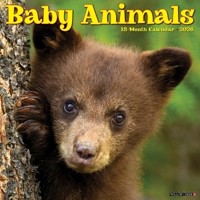 Baby Animals 2026 12 X 12 Wall Calendar -  Willow Creek Press