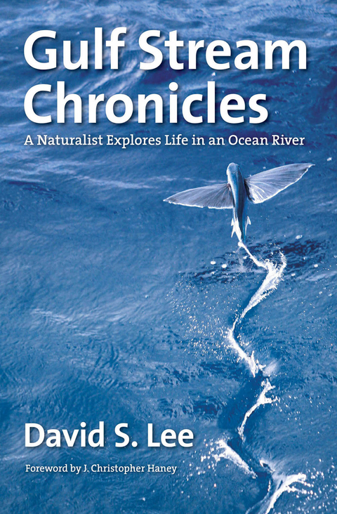 Gulf Stream Chronicles - David S. Lee