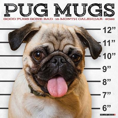 Pug Mugs 2026 12 X 12 Wall Calendar -  Willow Creek Press
