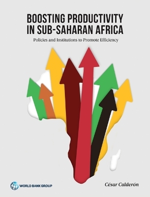 Boosting Productivity in Sub-Saharan Africa - Cesar Calderon,  World Bank Group
