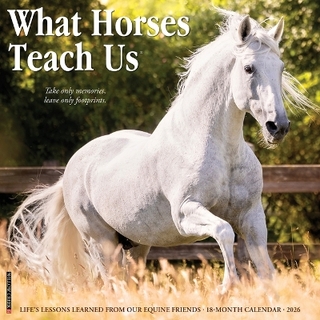 What Horses Teach Us 2026 12 X 12 Wall Calendar