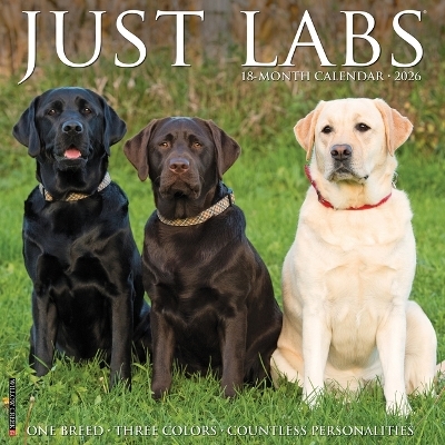Labs 2026 12 X 12 Wall Calendar -  Willow Creek Press