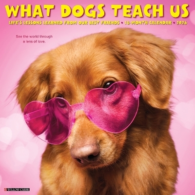 What Dogs Teach Us 2026 12 X 12 Wall Calendar -  Willow Creek Press