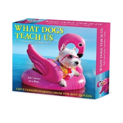 What Dogs Teach Us 2026 5.4 X 6.2 Box Calendar -  Willow Creek Press