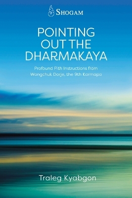 Pointing Out the Dharmakaya