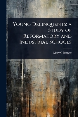 Young Delinquents; a Study of Reformatory and Industrial Schools - Mary G Barnett