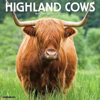 Highland Cows 2026 12 X 12 Wall Calendar