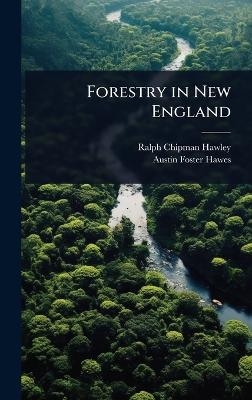 Forestry in New England - Ralph Chipman Hawley, Austin Foster Hawes