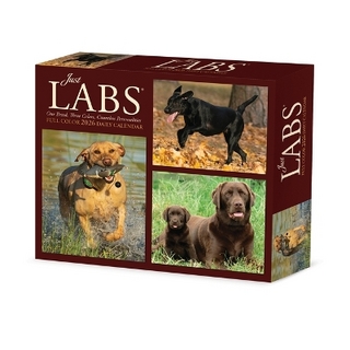 Just Labs 2026 5.4 X 6.2 Box Calendar