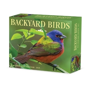 Backyard Birds 2026 5.4 X 6.2 Box Calendar