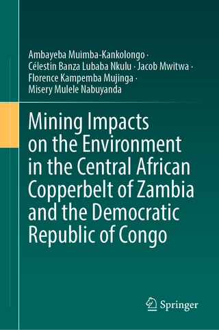 Mining Impacts on the Environment in the Central African Copperbelt of Zambia and the Democratic Republic of Congo