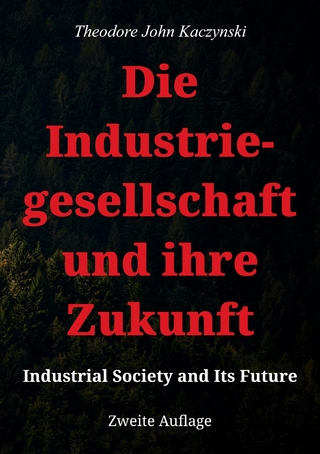 Die Industriegesellschaft und ihre Zukunft