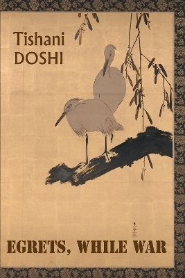 Egrets, While War - Tishani Doshi
