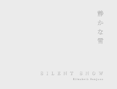 Silent Snow - Elizabeth Sanjuan
