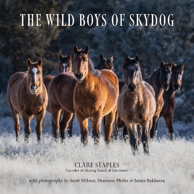 The Wild Boys of Skydog - Clare Staples