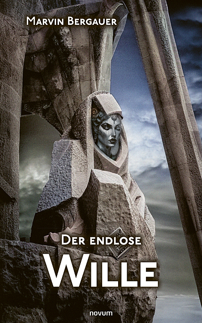 Der endlose Wille - Marvin Bergauer