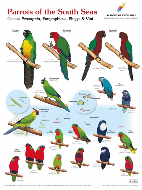 Poster Parrots of the South Seas
