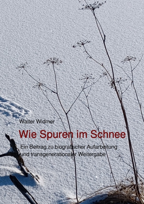 Walter Widmer - Walter Widmer