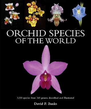 Orchid Species of the World