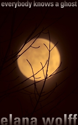 Everybody Knows a Ghost - Elana Wolff