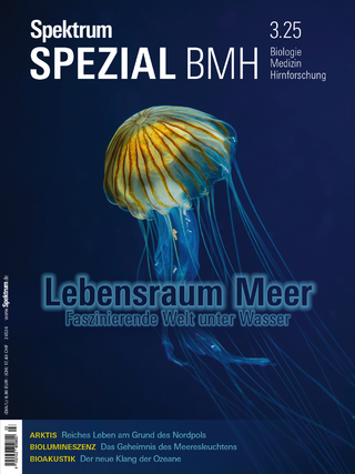 Spektrum Spezial BMH 3/2025 - Lebensraum Meer