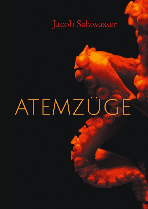 Atemz&uuml;ge - Jacob Salzwasser